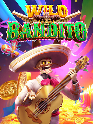ZOOM555_bandito